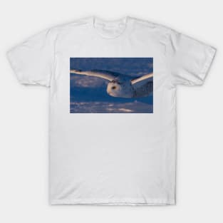 Snowy Owl flys at Sunset T-Shirt